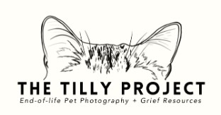 tilly-project